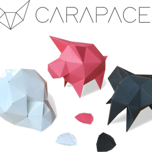 Carapaces By Doug : Rose