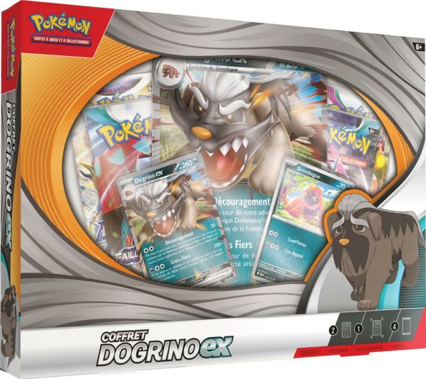 Coffret Pokémon EX de dogrino-EX